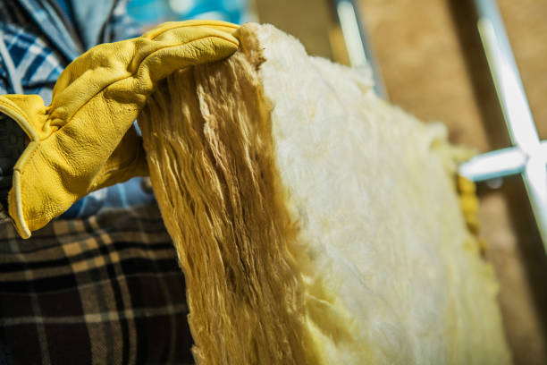 Best Commercial Insulation in Maysville, NC
