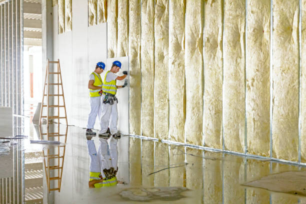 Best Insulation Installation Services in Maysville, NC